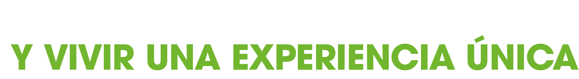 Tú y un acompañante